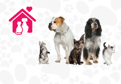 New Animal Shelter Logo